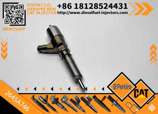 Excavator Injector 2645A737 2645A738 2645A746 for C4 C6 Diesel Engine Parts Nozzle Assembly