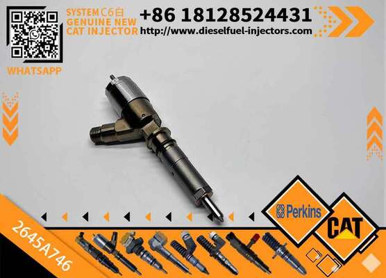Excavator Injector 2645A737 2645A738 2645A746 for C4 C6 Diesel Engine Parts Nozzle Assembly