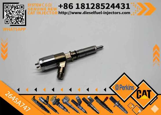 Excavator Injector 2645A718 2645A734 2645A747 for C4 C6 Diesel Engine Parts Nozzle Assembly