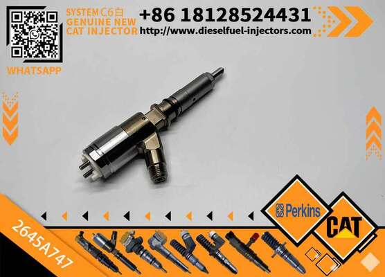 Excavator Injector 2645A718 2645A734 2645A747 for C4 C6 Diesel Engine Parts Nozzle Assembly