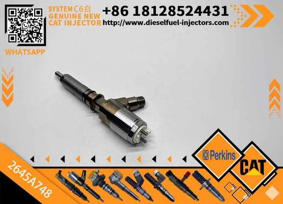 Diesel Injector for Cate-rpillar C6.6 Engine Machinery Engine Parts 2923788 2645A748 2645A740 2645A739 10R7939 306-9388 3069388