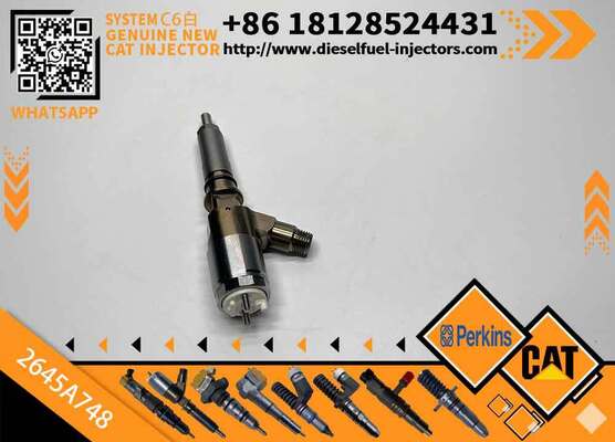 Diesel Injector for Cate-rpillar C6.6 Engine Machinery Engine Parts 2923788 2645A748 2645A740 2645A739 10R7939 306-9388 3069388