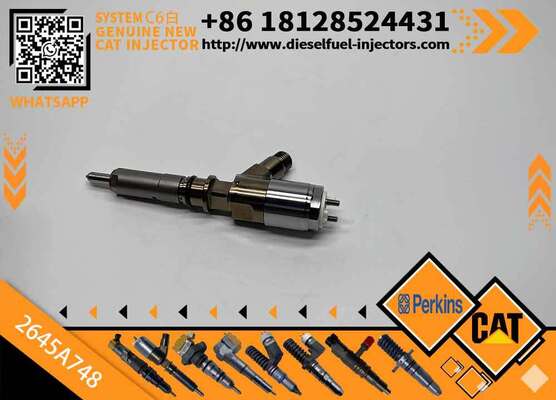 Diesel Injector for Cate-rpillar C6.6 Engine Machinery Engine Parts 2923788 2645A748 2645A740 2645A739 10R7939 306-9388 3069388