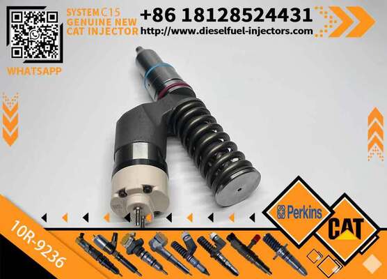 New Cat-erpillar C10 Common Rail Diesel Engine Injectors 10R-0956 10R-7231 10R-1273 10R-8989 10R-9236 10R-2772 10R-1273 10R-9236