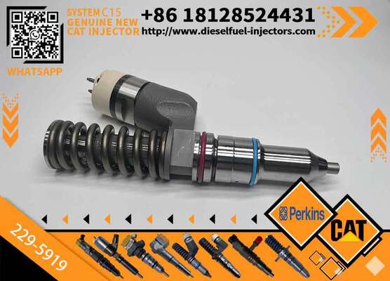 New Injector 229-5919 for Diesel Engine Common Rail Injection Valve High Quality Supply 2295919