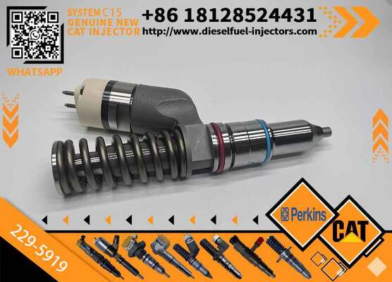 New Injector 229-5919 for Diesel Engine Common Rail Injection Valve High Quality Supply 2295919