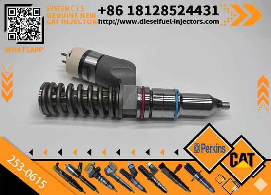 Factory Outlet Songte Engine Fuel Injector 253-0316 2530616 for CAT C15 C18 C27 Diesel Engine 385C 390D Excavator Engine