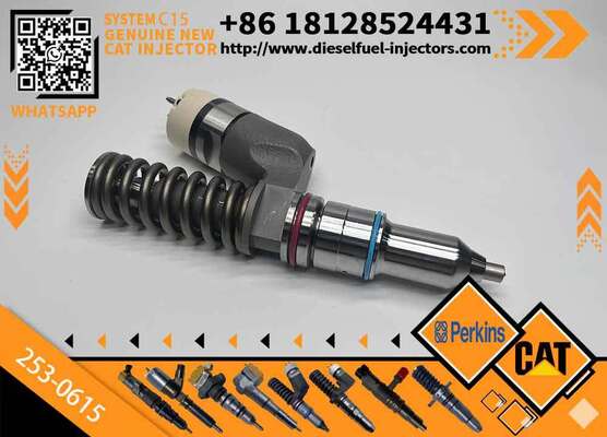 Factory Outlet Songte Engine Fuel Injector 253-0316 2530616 for CAT C15 C18 C27 Diesel Engine 385C 390D Excavator Engine