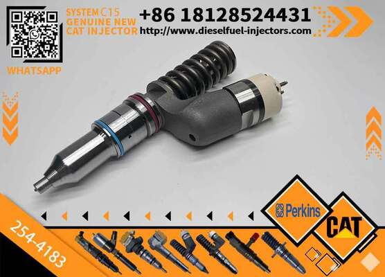 Injection Valve 254-4183 2544183 for diesel Engine Fuel Injection Pump Injector Assembly High Quality Supply