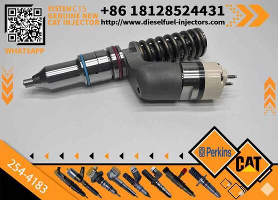 Injection Valve 254-4183 2544183 for diesel Engine Fuel Injection Pump Injector Assembly High Quality Supply