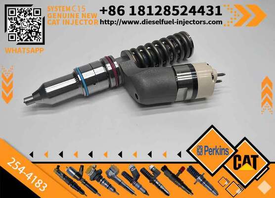Injection Valve 254-4183 2544183 for diesel Engine Fuel Injection Pump Injector Assembly High Quality Supply