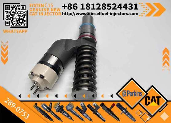 YS Fuel Injector 289-0753 2890753 Diesel Engine Fuel Injector 20R-5036 20R5036 for CAT C15 C18 C11 C10 3406E