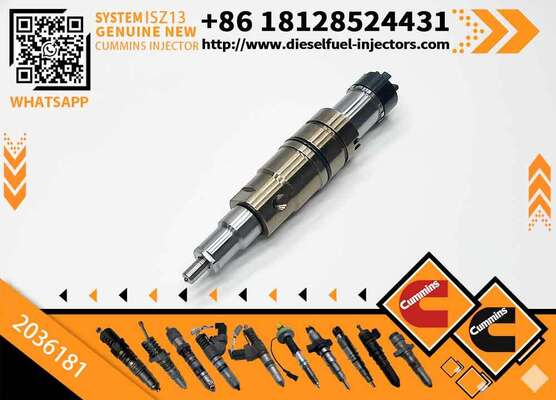 Diesel Engine Parts Excavator XPI Diesel Fuel Injector 2036181 for Scania RDC13A DC16A Engine