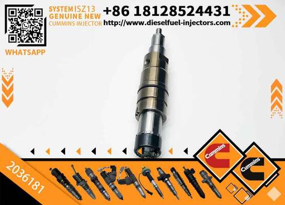 Diesel Engine Parts Excavator XPI Diesel Fuel Injector 2036181 for Scania RDC13A DC16A Engine