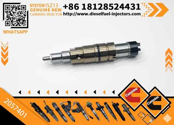 Fuel Injector Assembly 2872544 2086663 2057401 2872405 203183 Common Rail Injector