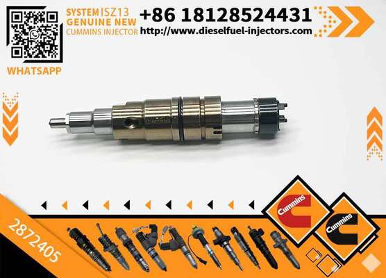 Fuel Injector Assembly 2872544 2086663 2057401 2872405 203183 Common Rail Injector