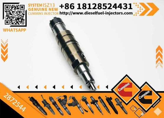 Fuel Injector Assembly 2872544 2086663 2057401 2872405 203183 Common Rail Injector