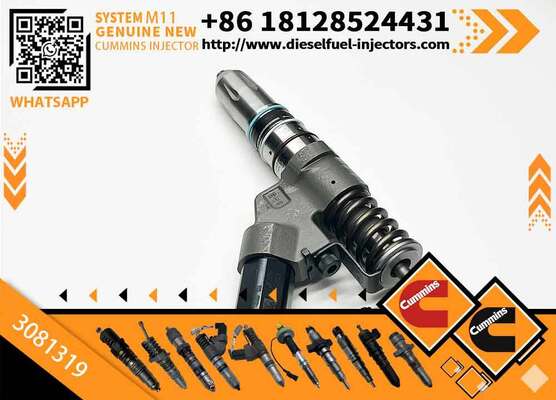 Special Offer Fuel Injector Assembly 3081319 for Cum-mins Engine M11 Series