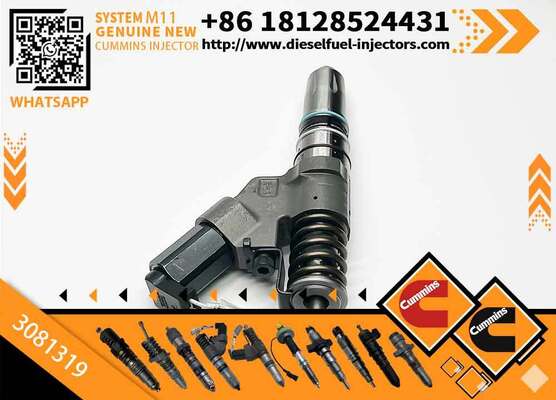 Special Offer Fuel Injector Assembly 3081319 for Cum-mins Engine M11 Series