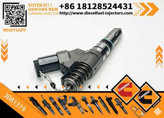 Special Offer Fuel Injector Assembly 3081319 for Cum-mins Engine M11 Series