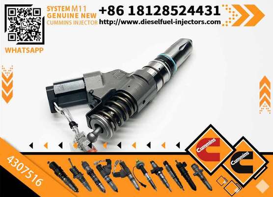 High Quality New Diesel Fuel Injector 4307516 for Cu-mmins N14 Shantui SD22 Bulldozer