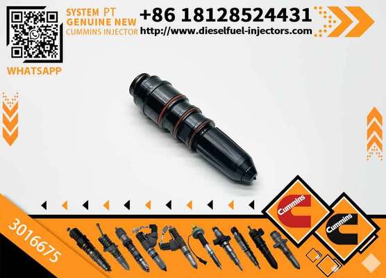 New Condition Diesel Engine Fuel Injector 3016675 for Engineering Machinery with Chongqing K-Series Engines