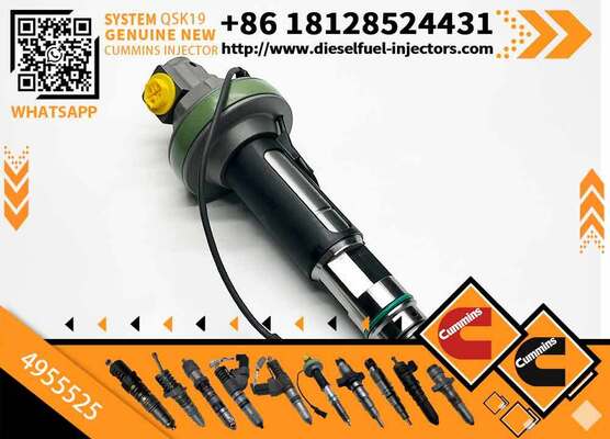 High Quality Common Rail Fuel Injector Fuel Injector for CUM -MS QSK19 QSK38 QSK50 4955525 F00BL0J017 4955525PX 4955525