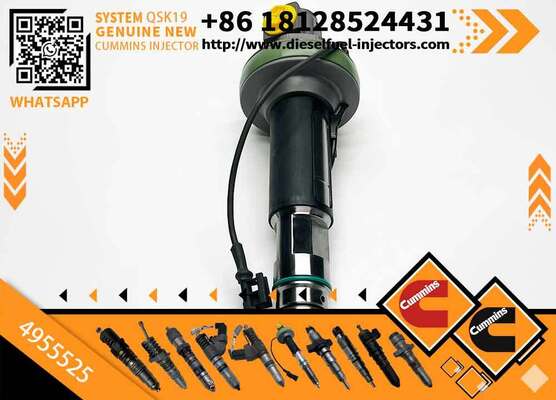 High Quality Common Rail Fuel Injector Fuel Injector for CUM -MS QSK19 QSK38 QSK50 4955525 F00BL0J017 4955525PX 4955525