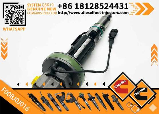 High Quality Fuel Injector 4964173 F00BJ0J016 for QSK19 ENGINE