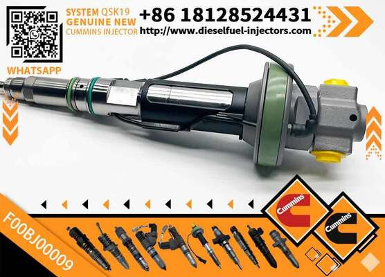 Genuine Fuel Injector Assembly F00BJ00002 01986435613 0986435902 0986435905 0986435616 F00BJO0008For Qsk19 Engine