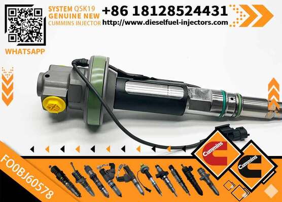 Genuine Fuel Injector Assembly F00BJ00002 01986435613 0986435902 0986435905 0986435616 F00BJO0008For Qsk19 Engine