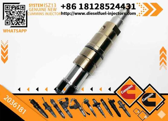 High Quality Common Rail Diesel Fuel Injector for Sca-nia XPI DC09 DC13 1881565 2894920 2031836 1874425 1933613 2086663 4307217