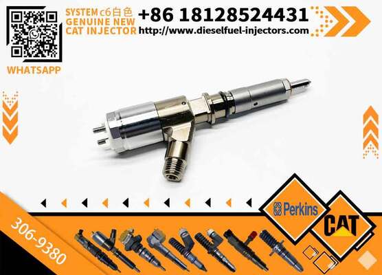 Cat320D Hot Selling Common Rail Injector 326-4700 326-4756 10R-7575 320-0655 306-9380 2645A734 2645A751