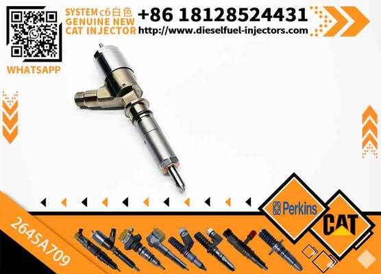 282-0490 High Quality Common Rail Fuel Injector 282-0490 2820490 2645A709 for C6.6 Engine