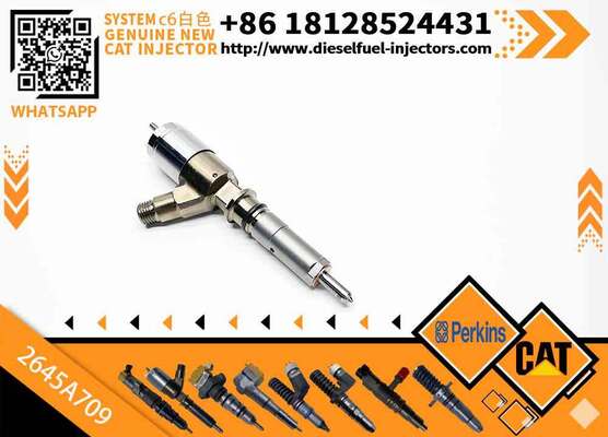 282-0490 High Quality Common Rail Fuel Injector 282-0490 2820490 2645A709 for C6.6 Engine