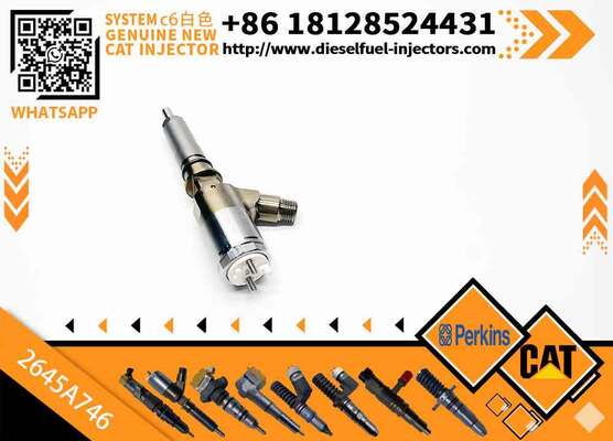 New Common Rail Injector 321-3600 2645A753 320-0677 2645A746 320-0690 2645A749 for diesel Engine CAT