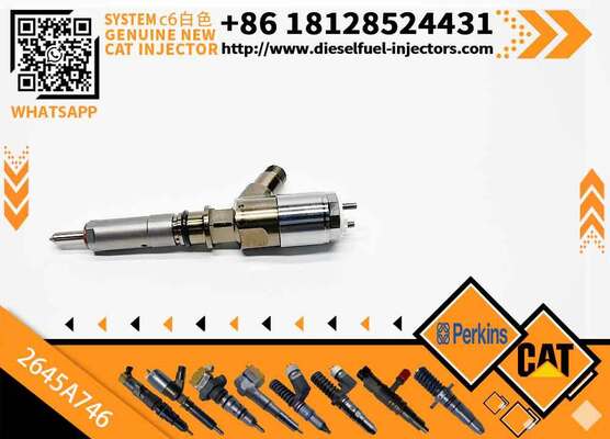 New Common Rail Injector 321-3600 2645A753 320-0677 2645A746 320-0690 2645A749 for diesel Engine CAT