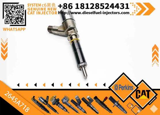 New Common Rail Injector 382-0480 2645A718 282-0490 10R-7673 292-3780 10R-7676 for diesel Engine CAT
