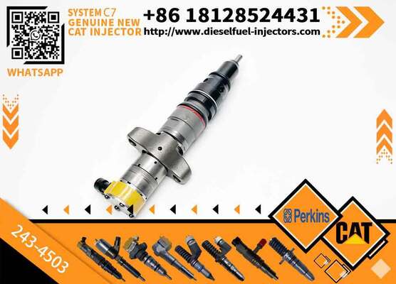 New Common Rail Injector 20R-8066 20R-8057 557-7627 243-4503 20R-9079 2OR-8071 for diesel Engine CAT