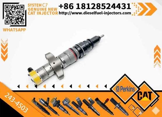 New Common Rail Injector 20R-8066 20R-8057 557-7627 243-4503 20R-9079 2OR-8071 for diesel Engine CAT