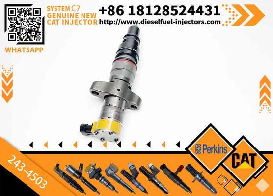 New Common Rail Injector 20R-8066 20R-8057 557-7627 243-4503 20R-9079 2OR-8071 for diesel Engine CAT