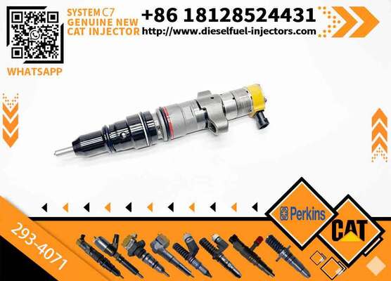 Fuel Injector Assembly 387-9439 172-5780 293-4071 387-9484 236-0957 293-4072 for CAT C9