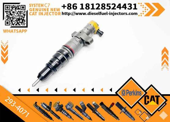 Fuel Injector Assembly 387-9439 172-5780 293-4071 387-9484 236-0957 293-4072 for CAT C9