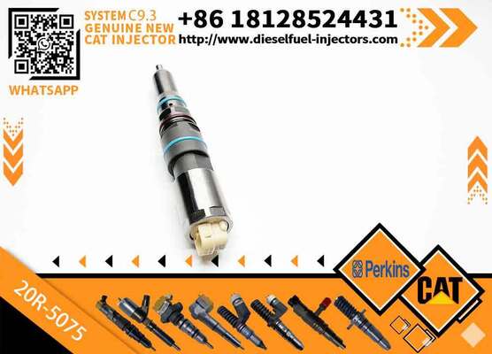 Genuine Original Common Rail Fuel Injector 456-3509 20R-5075 456-3589 20R-5073 for Engine C9.3