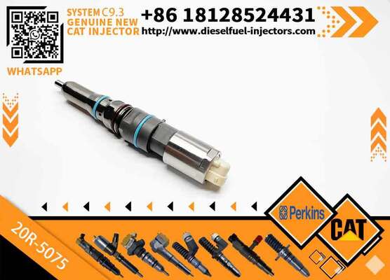 Genuine Original Common Rail Fuel Injector 456-3509 20R-5075 456-3589 20R-5073 for Engine C9.3