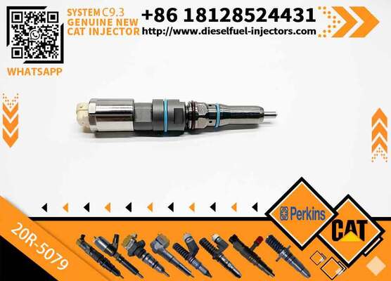 C-A-T Diesel Fuel Injector C9.3 456-3493 20R-5036 367-4293 20R-5079 for C-aterpillar Excavator Engine (Stainless Steel)