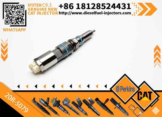 C-A-T Diesel Fuel Injector C9.3 456-3493 20R-5036 367-4293 20R-5079 for C-aterpillar Excavator Engine (Stainless Steel)