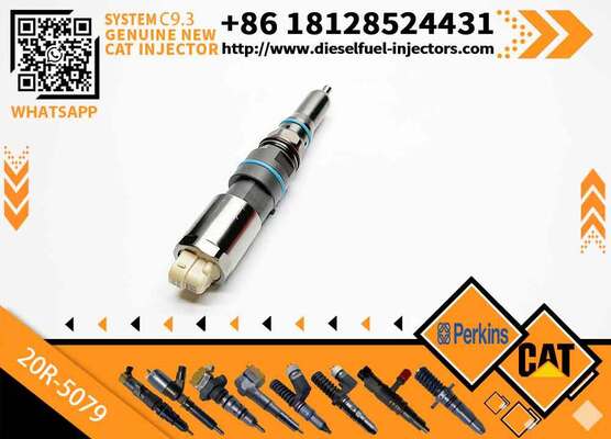 C-A-T Diesel Fuel Injector C9.3 456-3493 20R-5036 367-4293 20R-5079 for C-aterpillar Excavator Engine (Stainless Steel)