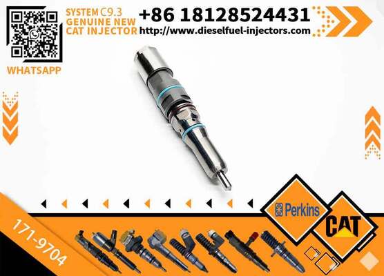 New Fuel Injector 171-9704 1719704 20R-5075 3861809 386-1809 382-0709 4563493 456-3493 for C-aterpillar C-aterpillar C9.3 D6T D7E