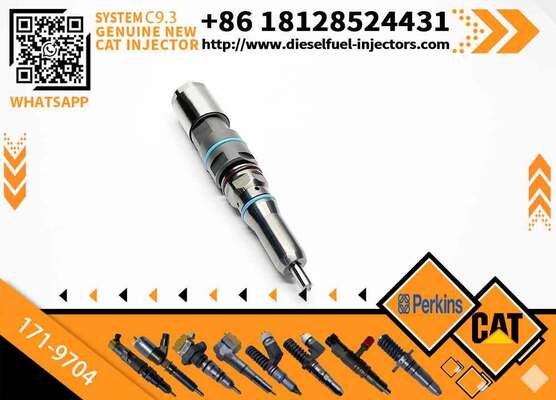New Fuel Injector 171-9704 1719704 20R-5075 3861809 386-1809 382-0709 4563493 456-3493 for C-aterpillar C-aterpillar C9.3 D6T D7E
